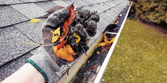 Fall Gutter Cleaning